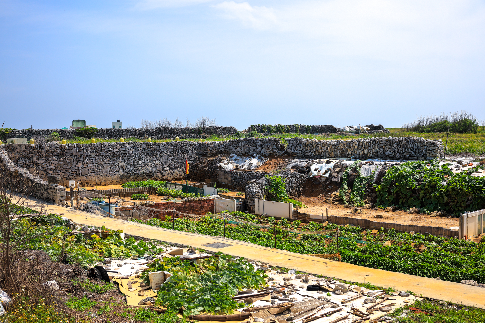 澎湖吉貝島旅遊,石滬漂浮早餐,澎湖北方三島,澎湖吉貝島美食,澎湖吉貝島海鮮餐廳