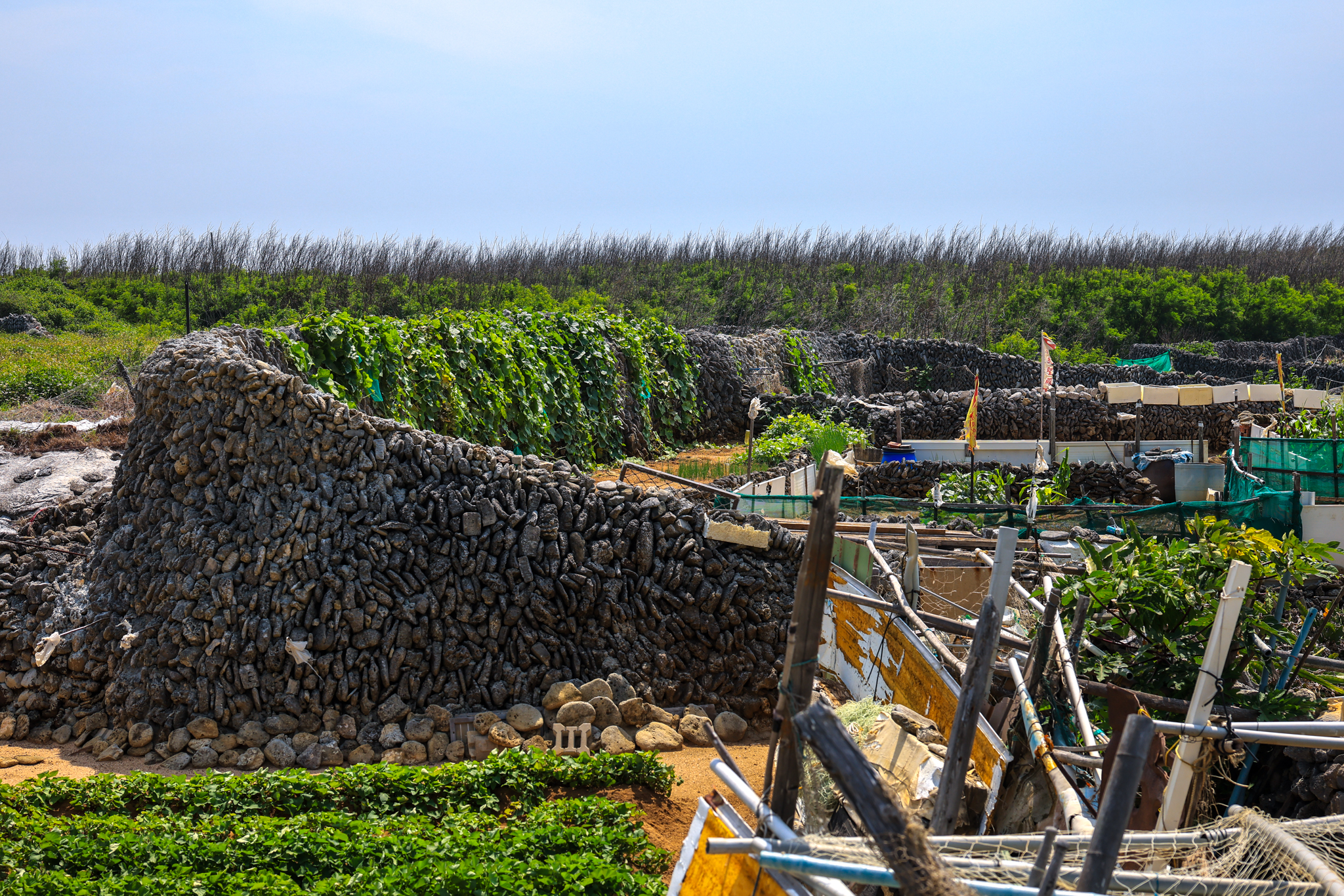 澎湖吉貝島旅遊,石滬漂浮早餐,澎湖北方三島,澎湖吉貝島美食,澎湖吉貝島海鮮餐廳