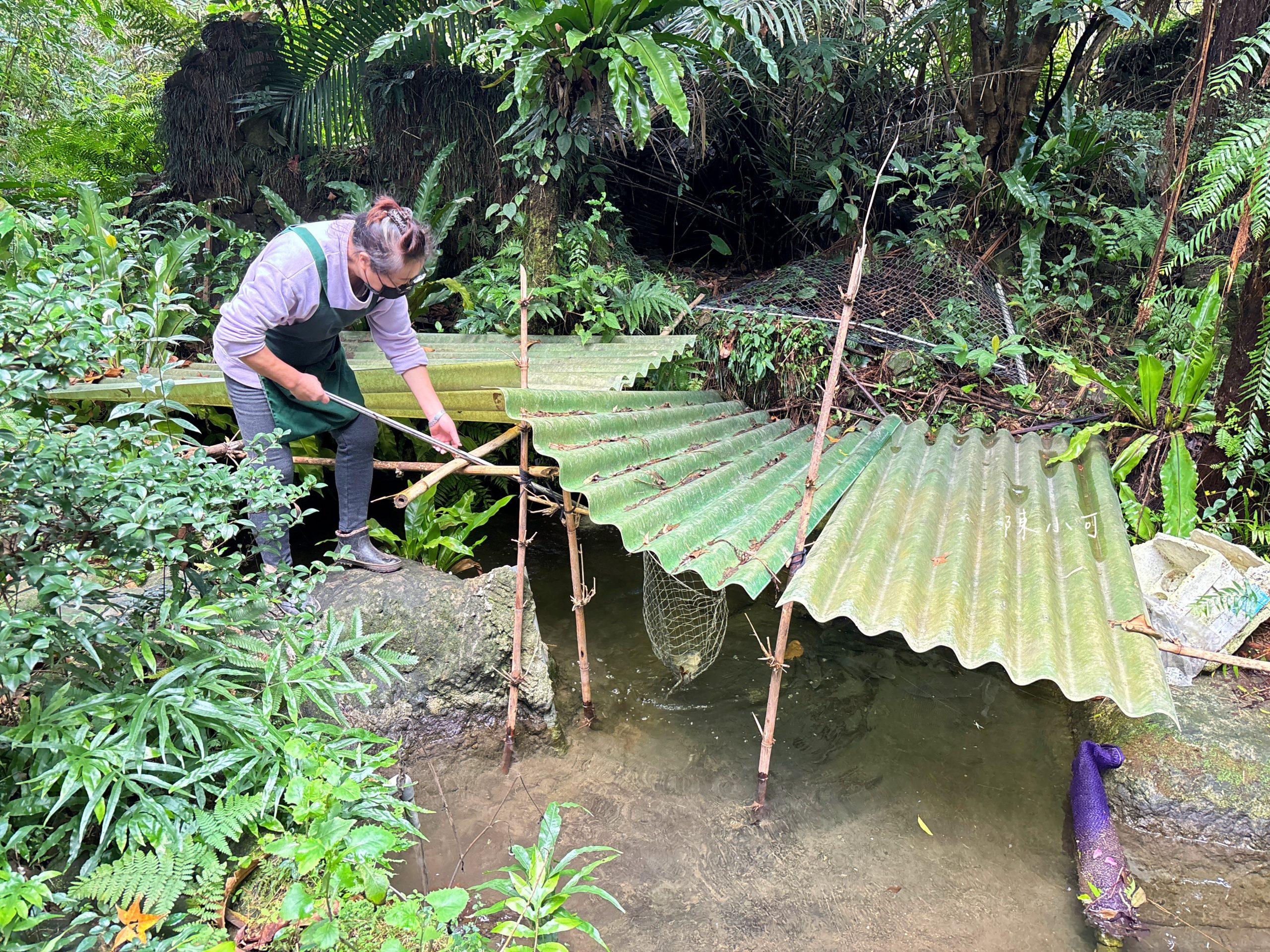 三重橋小吃部,金山美食 @陳小可的吃喝玩樂