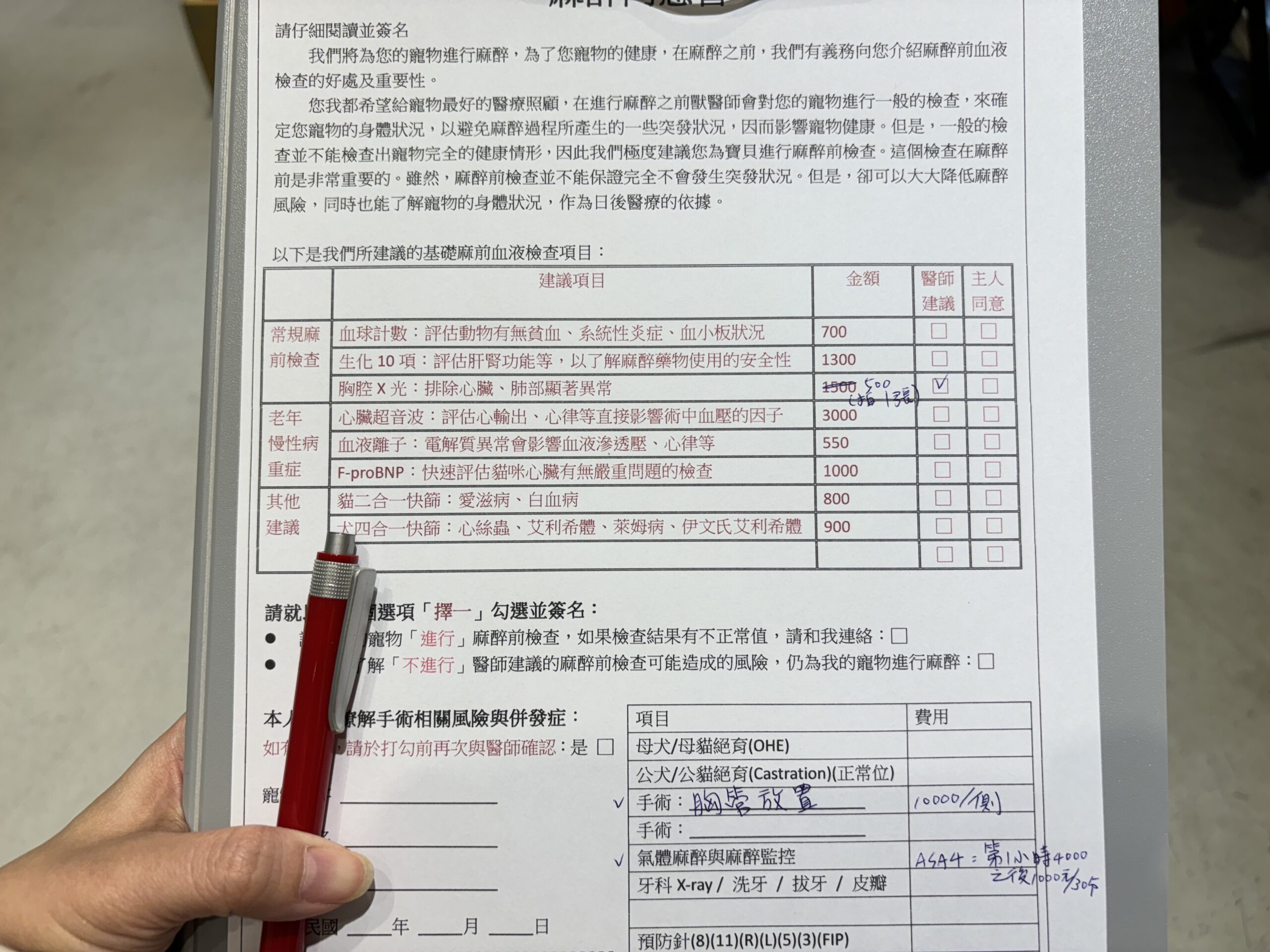 貓咪裝胸管