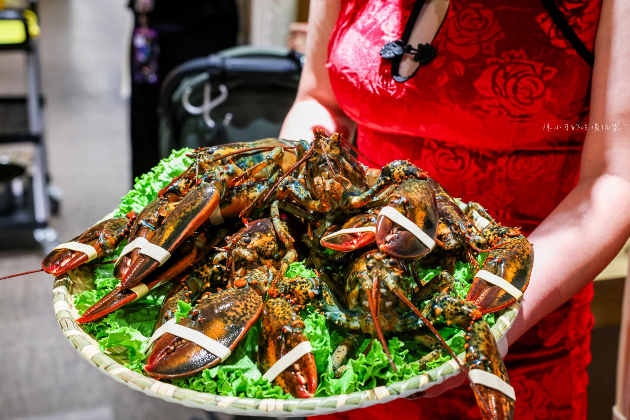 信義區雞湯,台北包廂餐廳,台北包廂餐廳唱歌,台北唱歌包廂餐廳,台北雞湯,台北雞湯推薦,台北雞湯火鍋,君曜雞湯,君曜雞湯菜單,君曜雞湯訂位 @陳小可的吃喝玩樂 信義區雞湯, 台北包廂餐廳唱歌, 台北唱歌包廂餐廳, 台北包廂餐廳, 台北雞湯推薦, 台北雞湯, 台北雞湯火鍋, 君曜雞湯, 君曜雞湯菜單, 君曜雞湯訂位