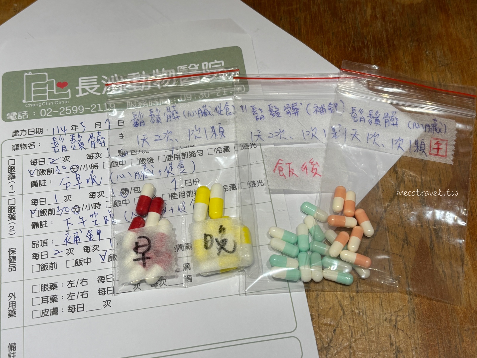 貓咪胸管掉了