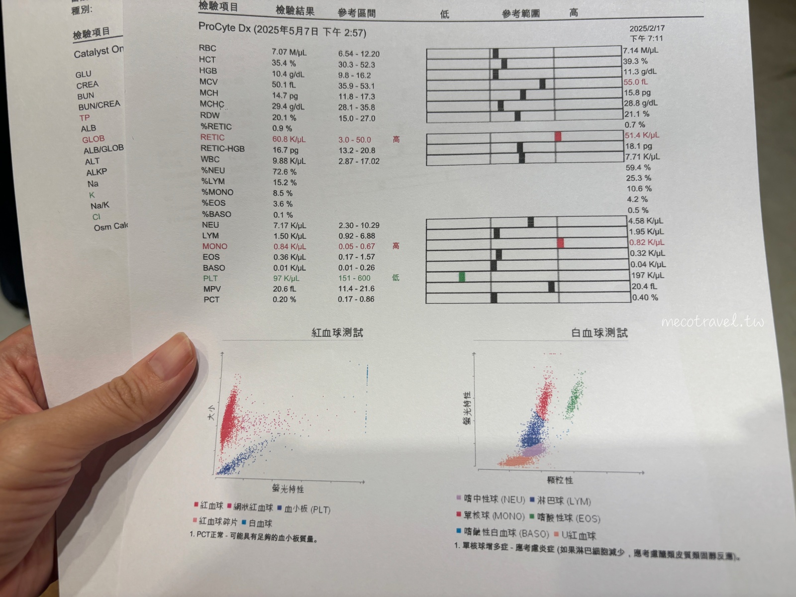 貓咪胸管掉了