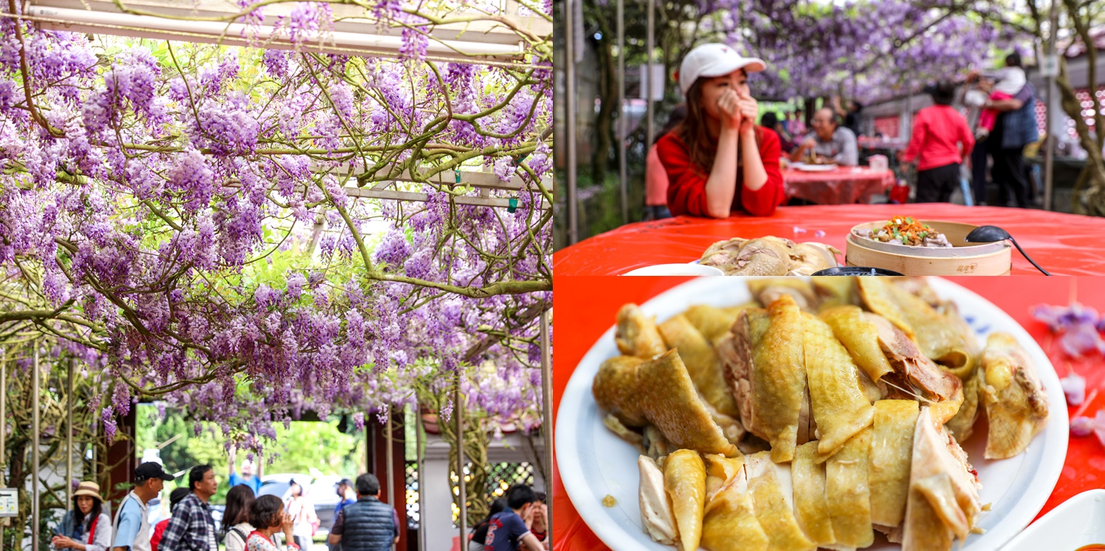 陽明山餐廳：頂湖小鎮～紫藤花棚下吃土雞，免費米粉湯、地瓜湯！紫藤花開季節