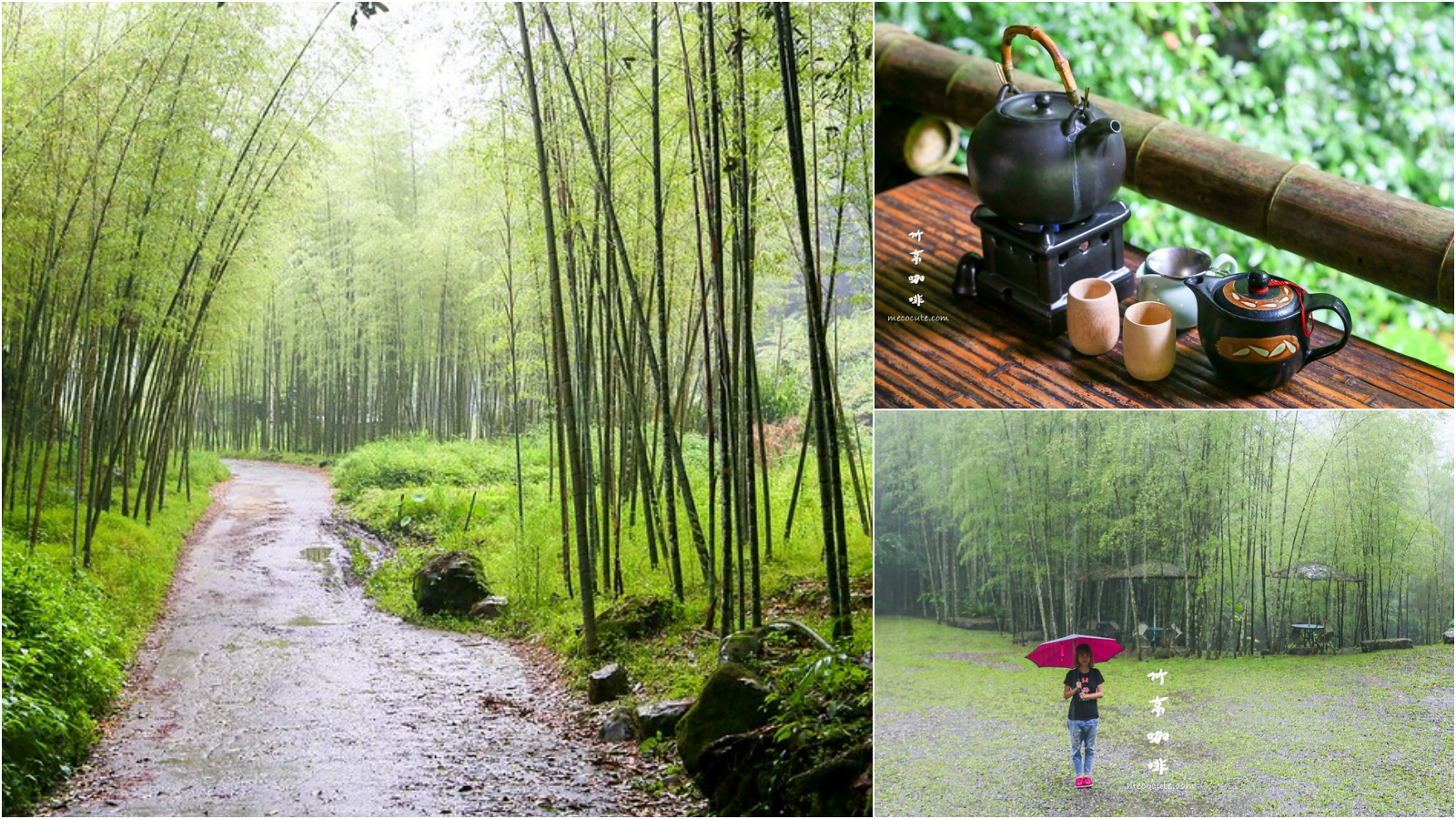 【南投旅遊景點】「竹亭咖啡」隱藏在溪頭山谷裡的世外桃源，被竹林圍繞的咖啡館