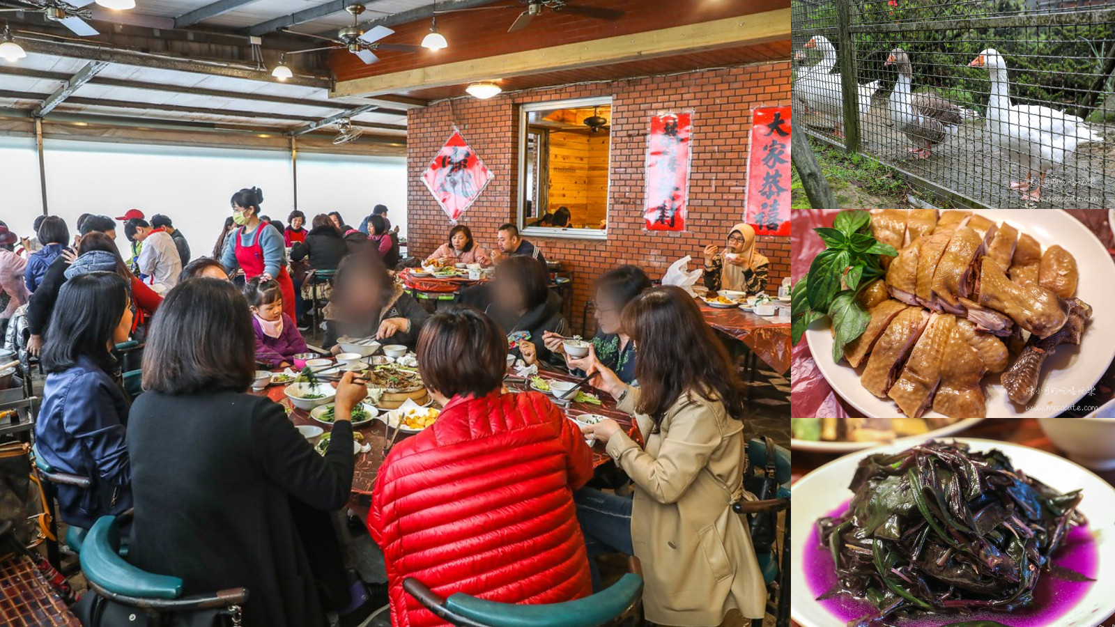 【陽明山ao3g6】：冠宸食館～網路推薦陽明山最好吃土雞是這間！