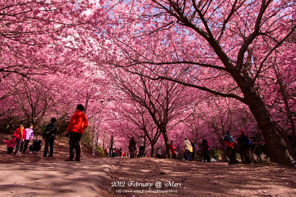 台中美食小吃旅遊景點,宜蘭 武陵農場,武陵農場,武陵農場 宜蘭,武陵農場門票價錢 @陳小可的吃喝玩樂 台中美食小吃旅遊景點,宜蘭 武陵農場,武陵農場,武陵農場 宜蘭,武陵農場門票價錢