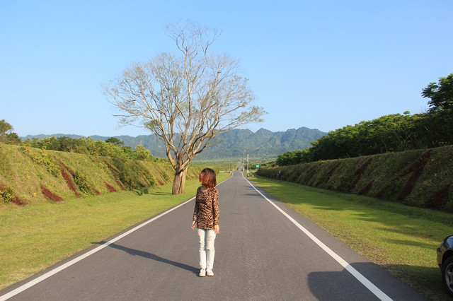 【花蓮旅遊景點推薦】大農大富平地森林，花蓮熱氣球