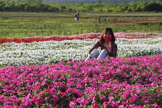 【花蓮旅遊景點推薦】大農大富平地森林，花蓮熱氣球