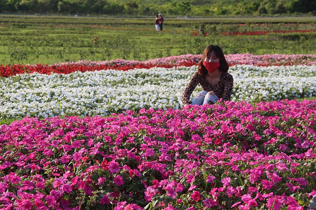 【花蓮旅遊景點推薦】大農大富平地森林，花蓮熱氣球