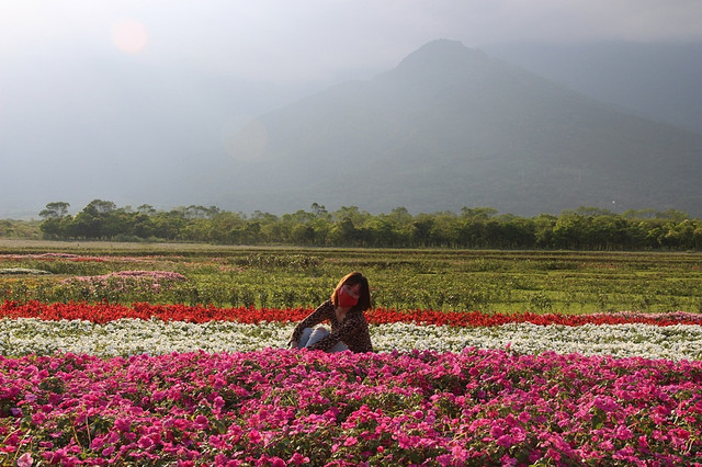 大農大富平地森林,花蓮旅遊,花蓮景點,花蓮熱氣球,花蓮美食小吃旅遊景點 @陳小可的吃喝玩樂 【花蓮旅遊景點推薦】大農大富平地森林,花蓮熱氣球