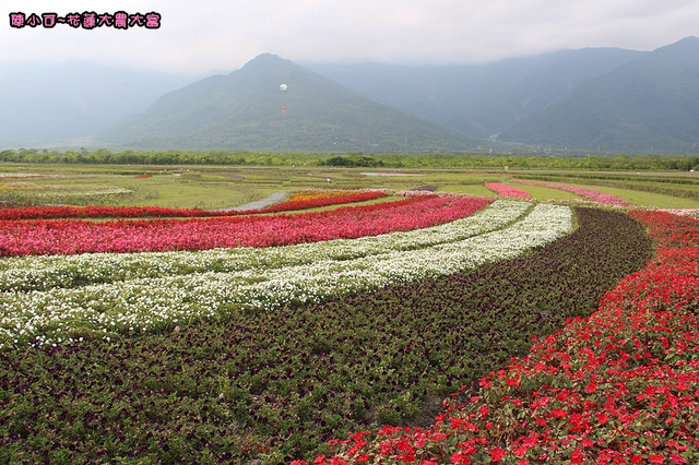 【花蓮旅遊景點推薦】大農大富平地森林，花蓮熱氣球