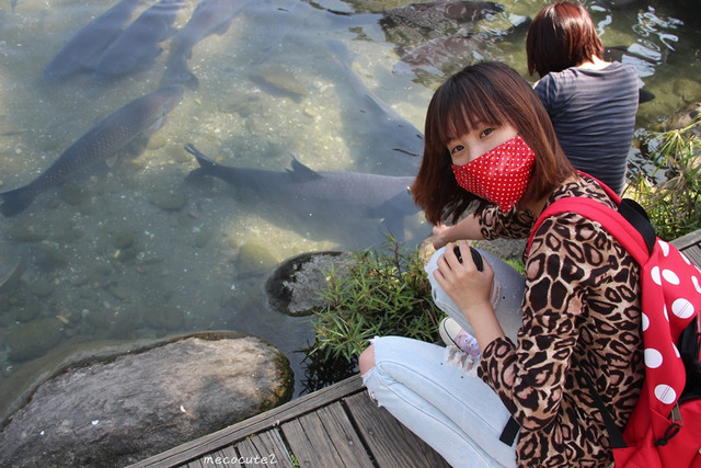 立川漁場,美食,花蓮旅遊,花蓮美食,花蓮美食小吃旅遊景點