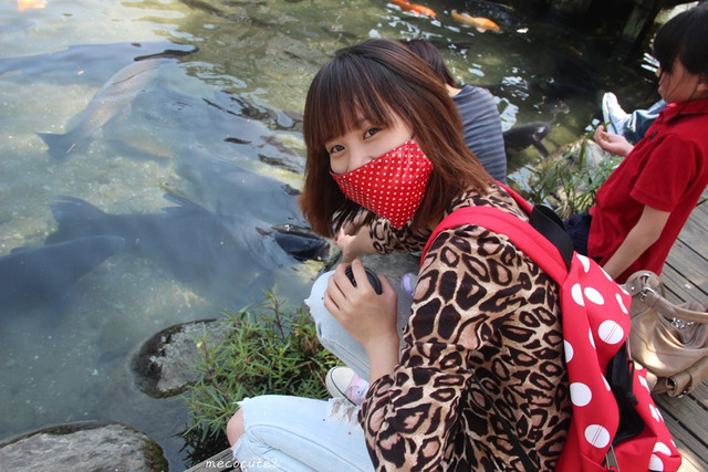 立川漁場,美食,花蓮旅遊,花蓮美食,花蓮美食小吃旅遊景點 @陳小可的吃喝玩樂 立川漁場,美食,花蓮旅遊,花蓮美食,花蓮美食小吃旅遊景點