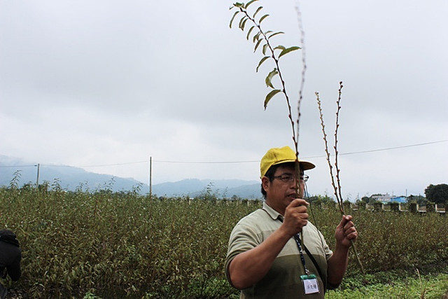 宜蘭美食小吃旅遊景點 @陳小可的吃喝玩樂 宜蘭美食小吃旅遊景點