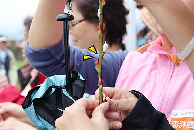 宜蘭美食小吃旅遊景點 @陳小可的吃喝玩樂 宜蘭美食小吃旅遊景點