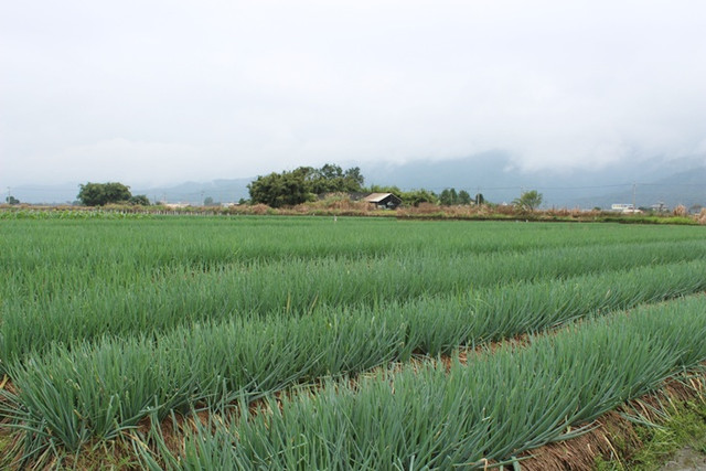 宜蘭美食小吃旅遊景點