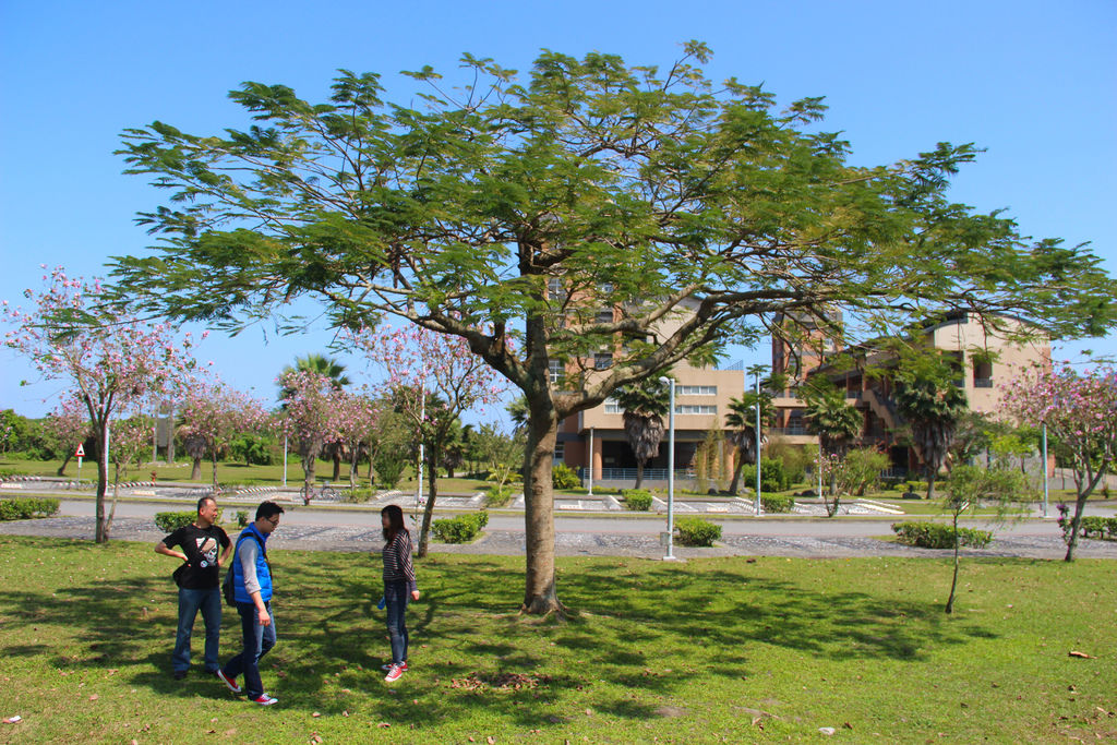 花蓮 東華大學