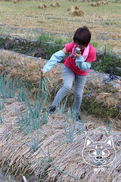 宜蘭 蔥仔寮體驗農場