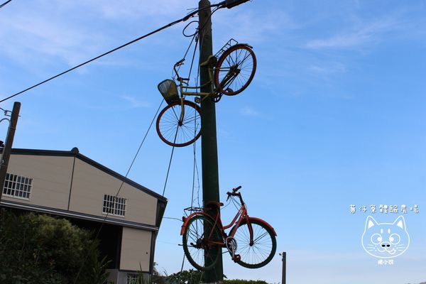 宜蘭 蔥仔寮體驗農場