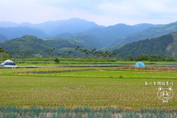 宜蘭 蔥仔寮體驗農場