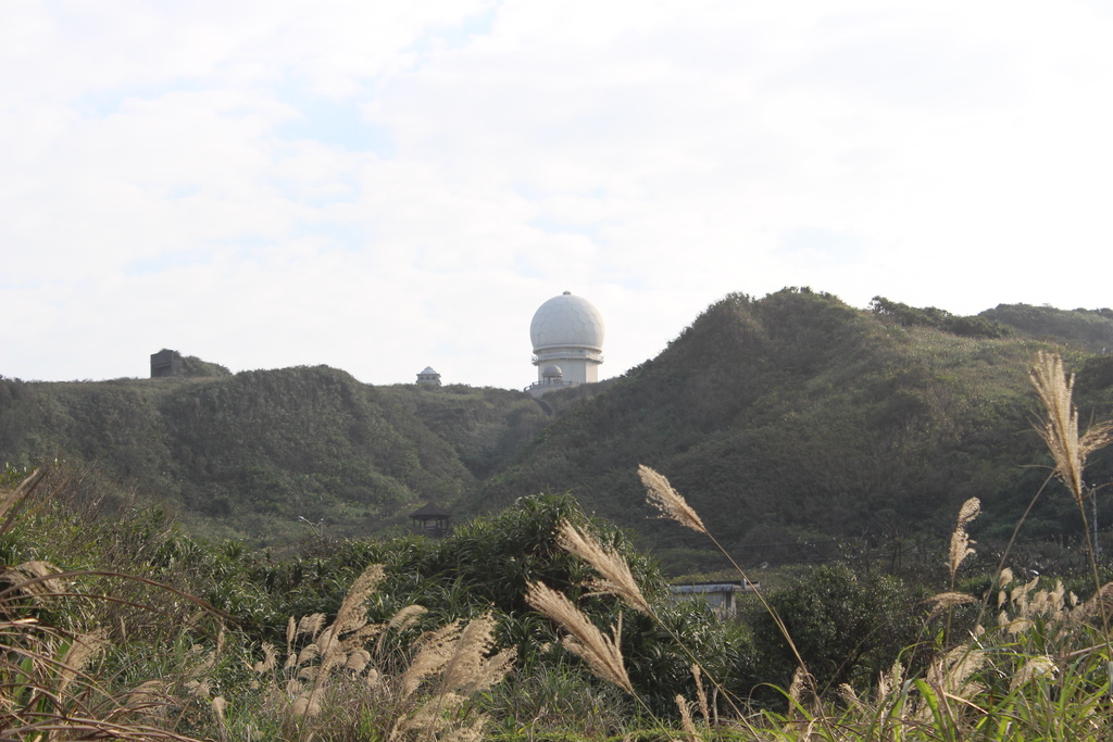 宜蘭馬崗 貓村 貓鄉 拍貓咪 台北到馬岡一日遊 