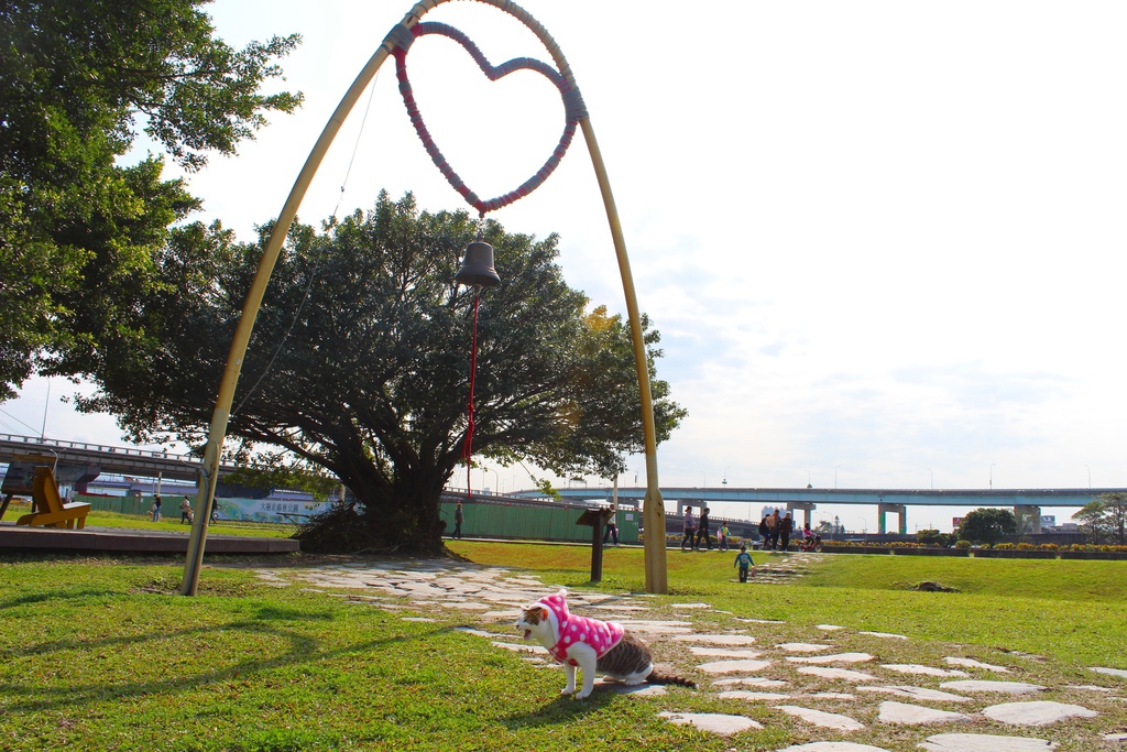 幸福水漾公園 新北市三重旅遊景點 大台北都會公園