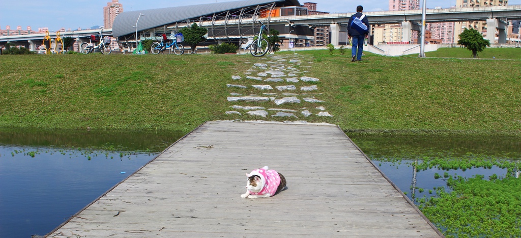 幸福水漾公園 新北市三重旅遊景點 大台北都會公園