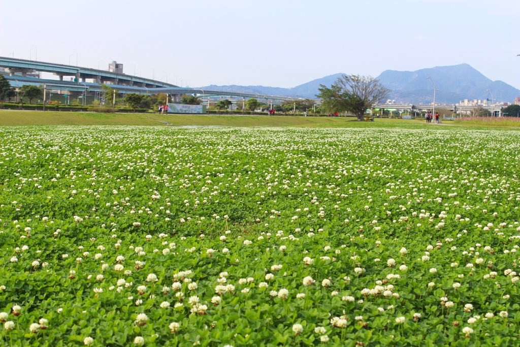 幸福水漾公園 新北市三重旅遊景點 大台北都會公園