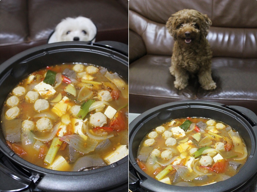  康寶麻辣鍋食譜  康寶麻辣鍋 在家自己煮麻辣鍋 康寶麻辣鍋食譜  康寶麻辣鍋 在家自己煮麻辣鍋