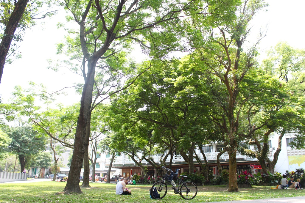 台北公館 台大校園拍拍 公館台大小木屋鬆餅  台大鮮奶冰淇淋