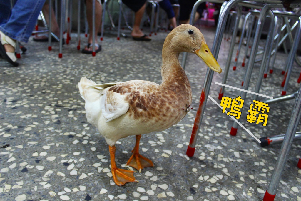 新北市三重 三和夜市美食 現炸天婦羅 三絲丸