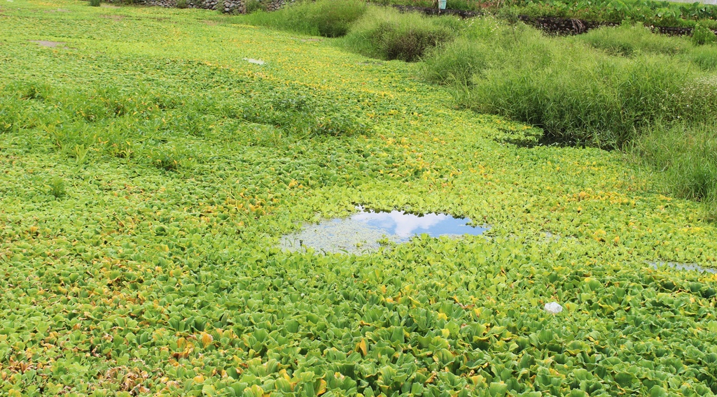 調色盤築夢會館 宜蘭羅東民宿住宿推薦 La Palette 調色盤築夢會館地址 宜蘭住宿 宜蘭民宿 羅東夜市附近住宿 宜蘭兩天一夜旅遊