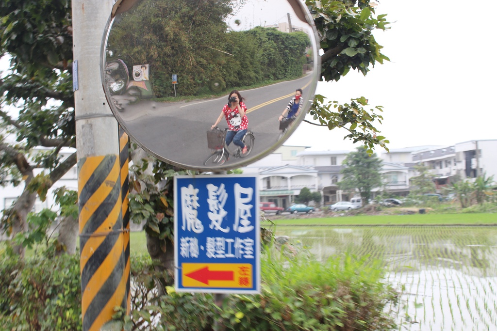 宜蘭貓極簡咖啡廳(館) 宜蘭貓極簡菜單價位 貓咪咖啡館 店內有貓 宜蘭五結貓極簡咖啡 貓咪寵物咖啡店 宜蘭貓極簡地址 宜蘭貓極簡營業時間 宜蘭五結貓極簡