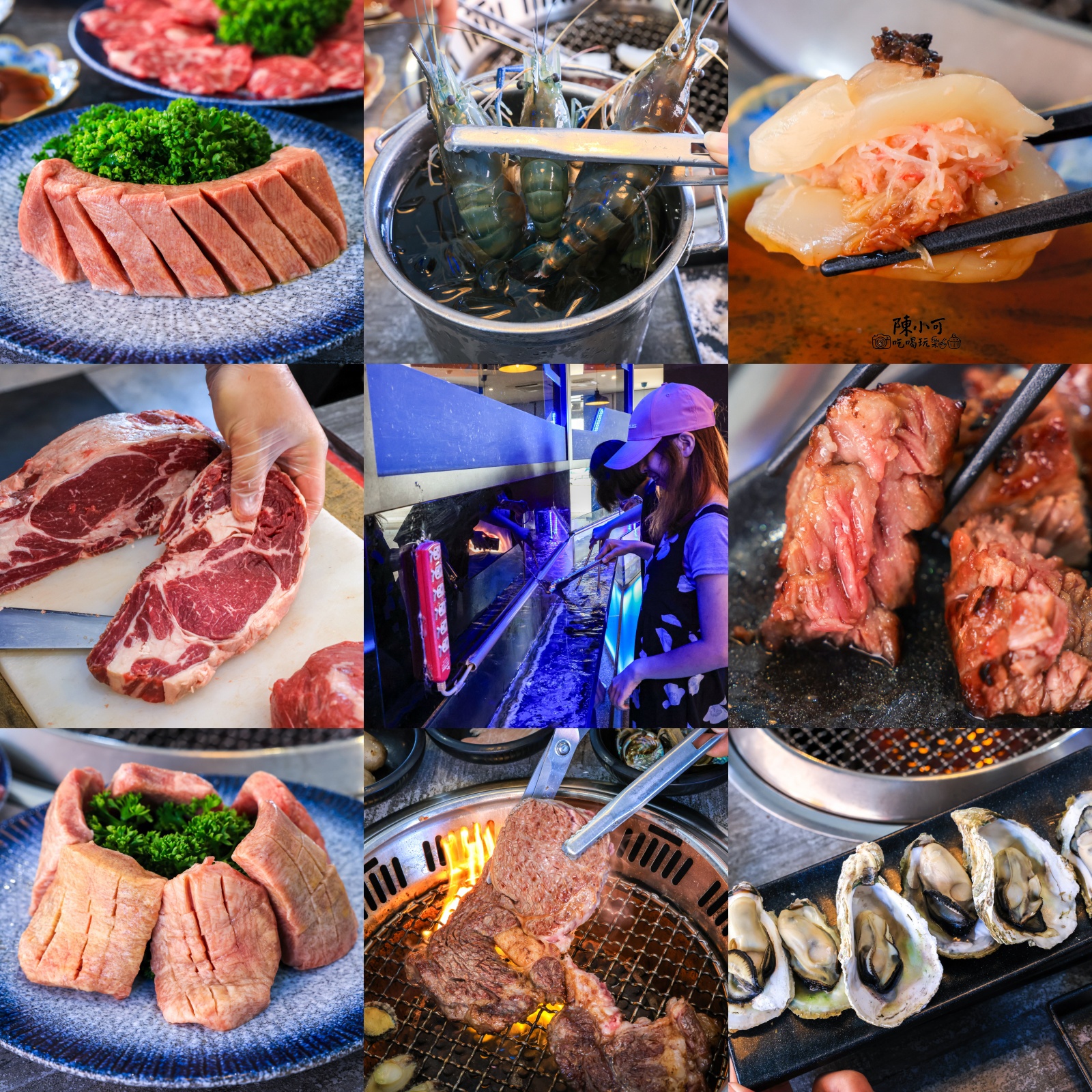 大漠紅頂級燒肉,大漠紅頂級燒肉價錢大漠紅頂級燒肉訂位,桃園燒烤,桃園燒肉