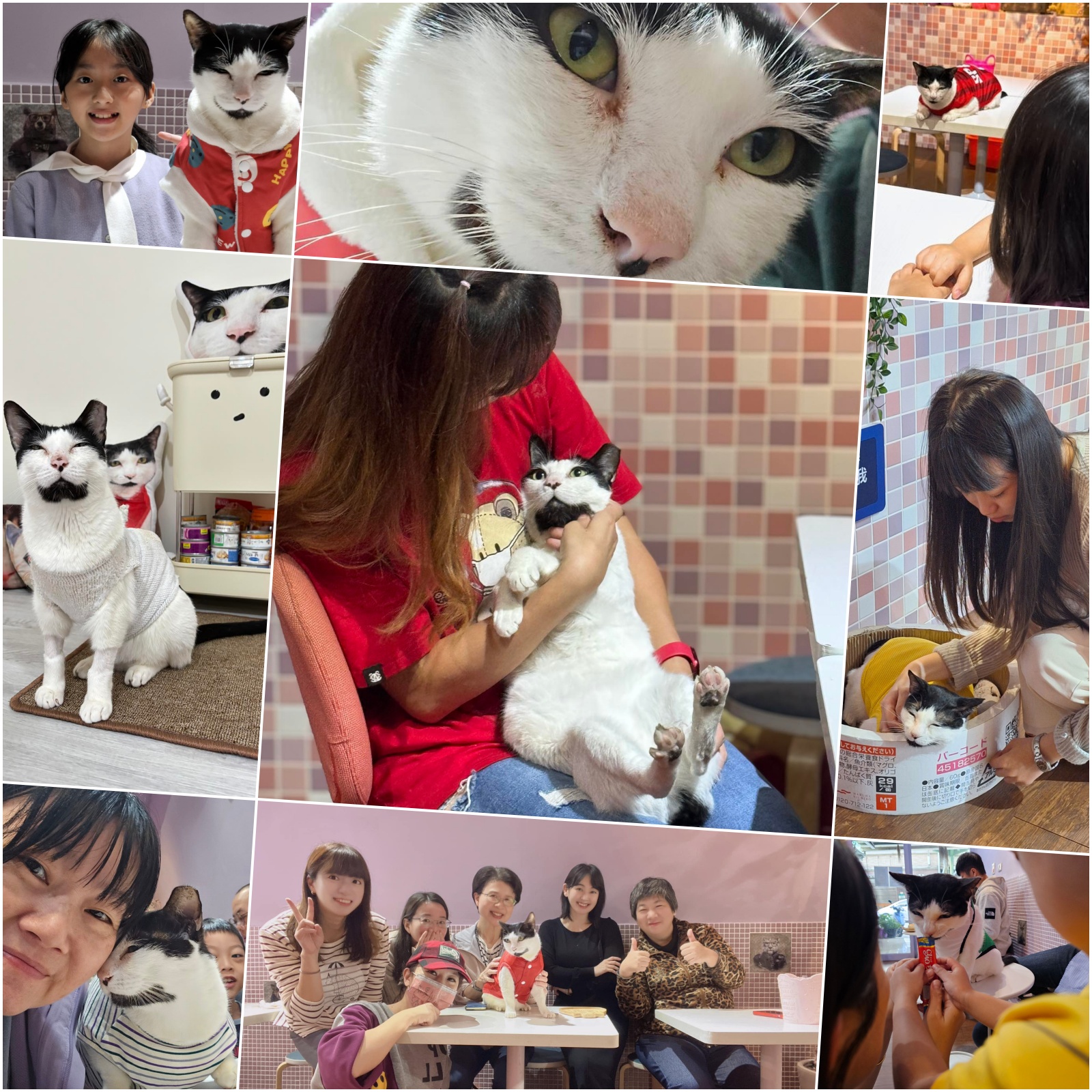 懷恩寵物安樂園,寵物火化費用,林口懷恩寵物安樂園